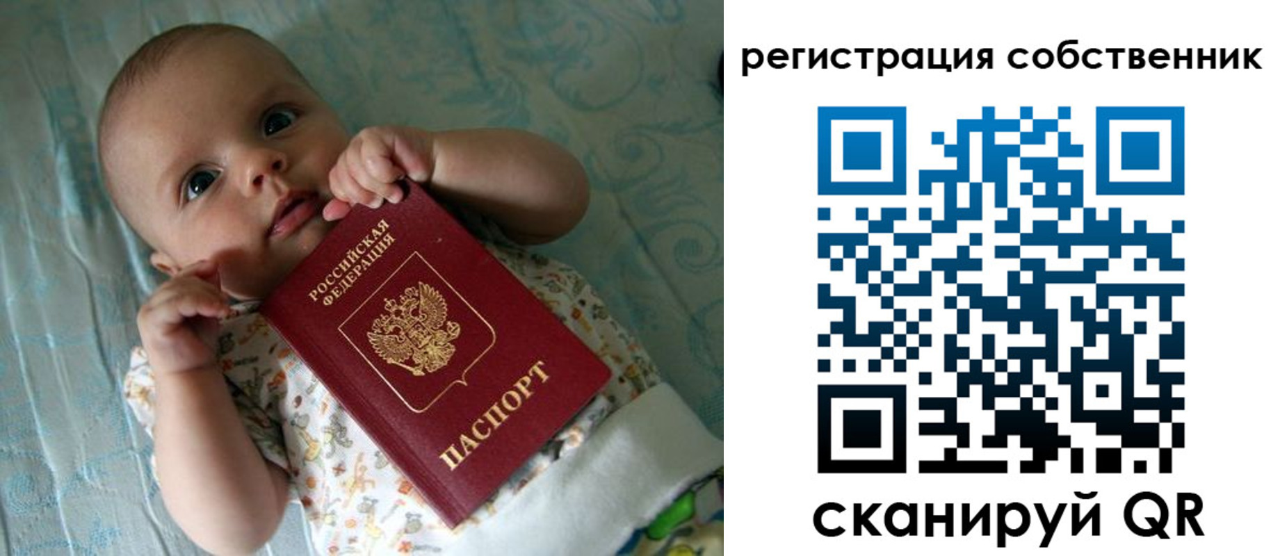 прописка штамп в Курске