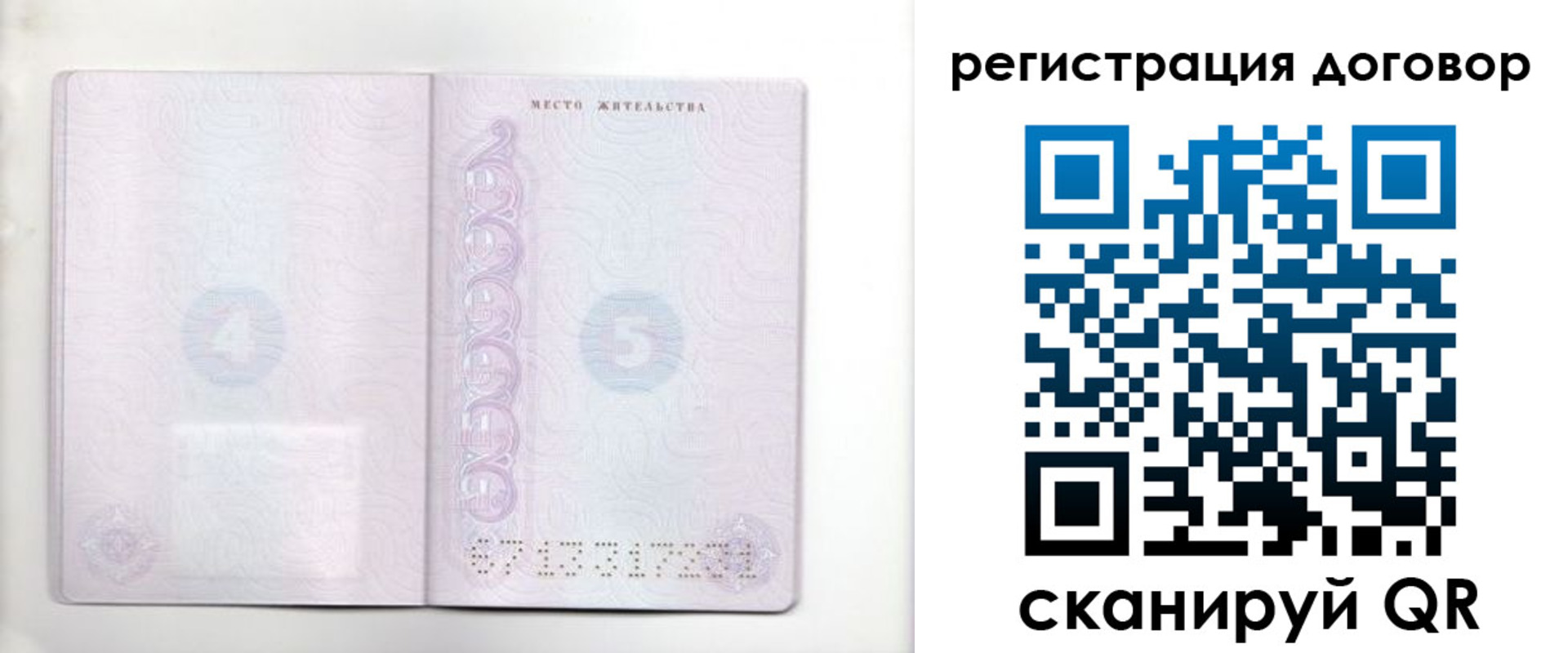 где прописаться в Курске